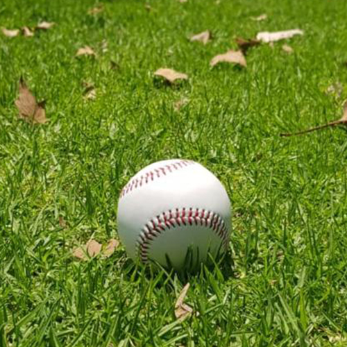 Pelota de baseball de vinil. UNICO